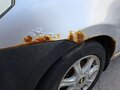 2008 Chevrolet Aveo I Рестайлинг, серебристый, 165000 рублей - вид 11
