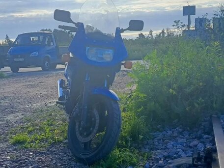 2009 Kawasaki GPZ 500, синий, 199000 рублей, вид 2