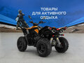 2026 Cectek KINGCOBRA, жёлтый, 530200 рублей - вид 4