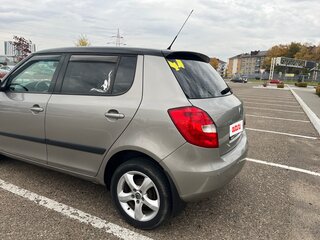 2010 Skoda Fabia II, серый, 470000 рублей, вид 5