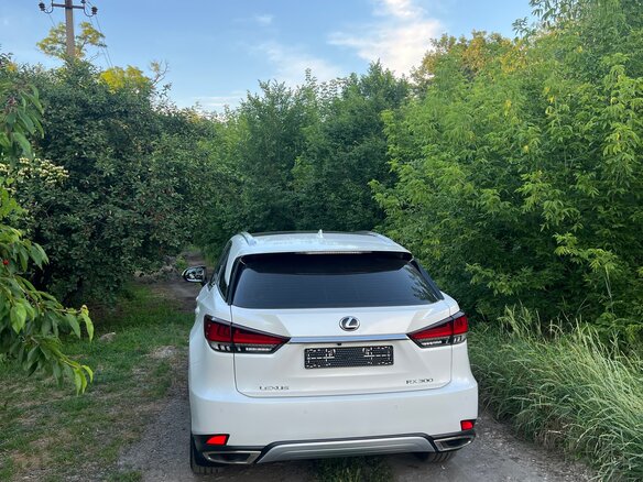 2019 Lexus RX 300 IV Рестайлинг, белый, 6500000 рублей - вид 10