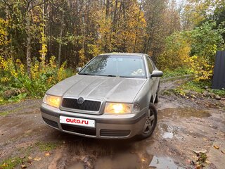 2008 Skoda Octavia I (A4) Рестайлинг, серый, 240000 рублей, вид 4