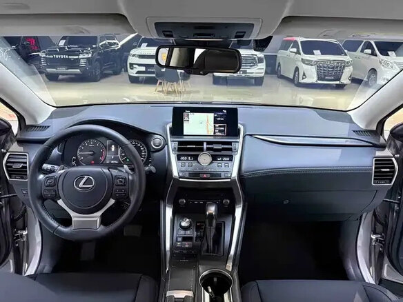 2020 Lexus NX 200 I Рестайлинг, серый - вид 10