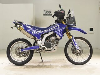 2017 Yamaha WR250R, синий, 595000 рублей, вид 1
