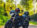 2012 Triumph Speed Triple, жёлтый, 500000 рублей - вид 1