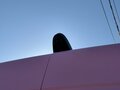 2019 ГАЗ ГАЗель Next, розовый, 1499999 рублей - вид 3