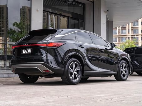 2025 Lexus RX 300 V, чёрный, 6700099 рублей, вид 4
