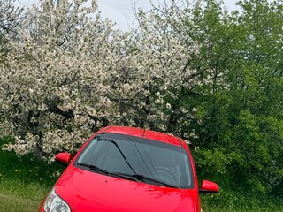 2010 Chevrolet Aveo I Рестайлинг, красный, 535000 рублей, вид 1