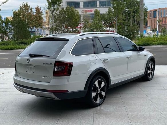 2019 Skoda Octavia III (A7) Рестайлинг, белый - вид 10