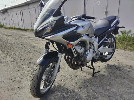 2003 Yamaha FZ6, серебристый, 385000 рублей, вид 1