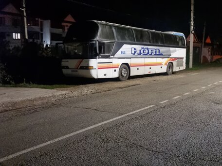 1994 Neoplan Cityliner, белый, 1000000 рублей, вид 1