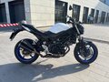 2016 Suzuki SV 650, белый, 525000 рублей - вид 1