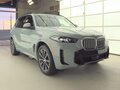 2024 BMW X5 40i IV (G05/G18) Рестайлинг, серый - вид 3