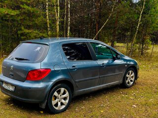2007 Peugeot 307 I Рестайлинг, серый, 399000 рублей, вид 3