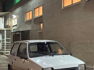 2007 Lada (ВАЗ) 1111 Ока СеАЗ, белый, 99999 рублей, вид 1