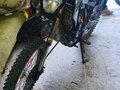 2011 Irbis TTR 250, чёрный, 70000 рублей - вид 3