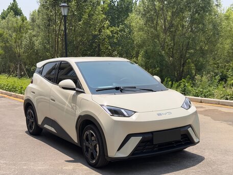 2024 BYD Seagull 30.08 kWh I, белый, 1360000 рублей, вид 3