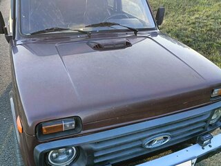 2007 Lada (ВАЗ) 2121 (4x4) I Рестайлинг, пурпурный, 390000 рублей, вид 2