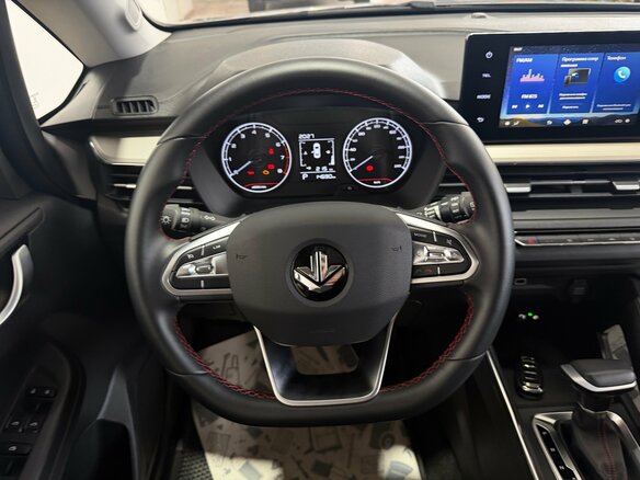 2024 Livan X3 Pro, серый, 1400000 рублей - вид 14