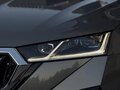 2023 Skoda Octavia IV (A8), серый, 2040000 рублей - вид 7
