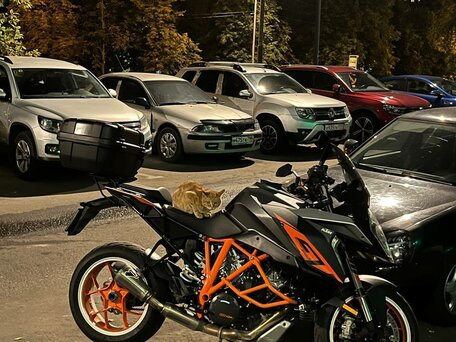 2017 KTM 1290 Super Duke GT, серый, 998000 рублей, вид 2