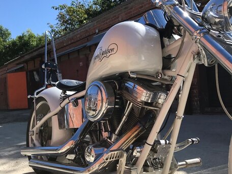 2003 Harley-Davidson Softail Custom, белый, 800000 рублей, вид 2