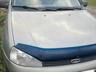 2012 Lada (ВАЗ) Kalina I, серый, 220000 рублей, вид 3