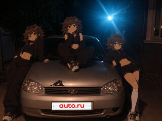 2009 Lada (ВАЗ) Kalina I, серебристый, 200000 рублей, вид 5