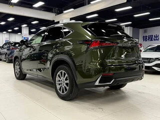 2021 Lexus NX 200 I Рестайлинг, зелёный, 3270000 рублей, вид 5