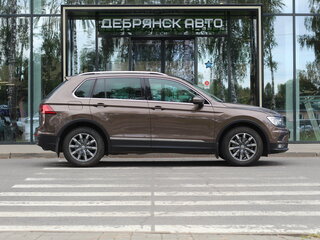 2017 Volkswagen Tiguan II, коричневый, 2900000 рублей, вид 4