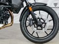 2024 BMW F 800 GS, белый, 1079000 рублей - вид 10