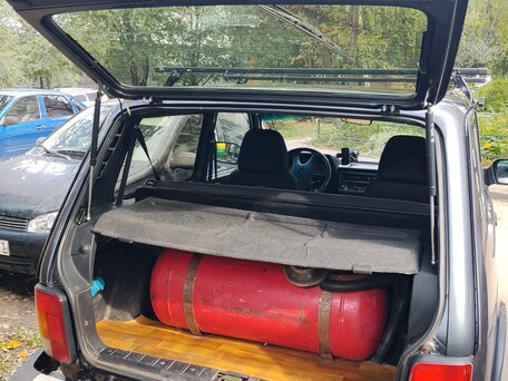 2019 Lada (ВАЗ) 2121 (4x4) I Рестайлинг, серебристый, 530000 рублей, вид 4