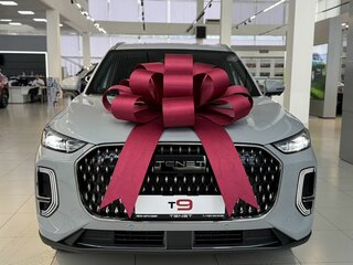 2026 Tenet T9, серый, 3949000 рублей, вид 2