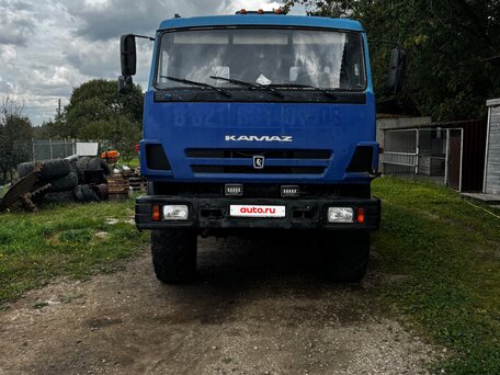 2009 КамАЗ 43118, голубой, 4900000 рублей, вид 1