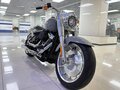 2024 Harley-Davidson Fat Boy, серый, 2555000 рублей - вид 1
