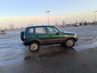 2003 Chevrolet Niva I, зелёный, 335000 рублей, вид 3