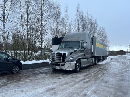 2008 Freightliner Cascadia, серебристый, 4500000 рублей, вид 3