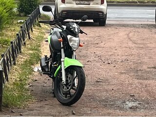2025 Motoland Bandit 300, зелёный, 140000 рублей, вид 2