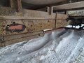 2008 ГАЗ ГАЗель (3302), белый, 460000 рублей - вид 8