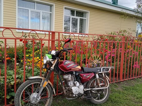2010 Мотоальфа A1, пурпурный, 35000 рублей, вид 2