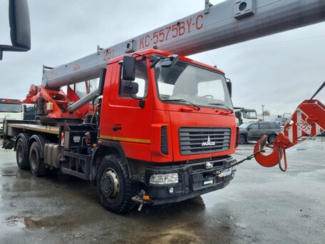 2022 МАЗ Автокраны, красный, 10016000 рублей, вид 2