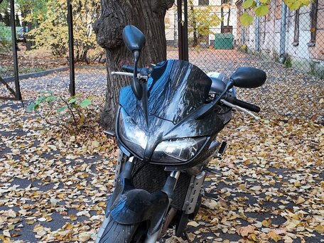 2004 Yamaha FZ1, серый, 360000 рублей, вид 5