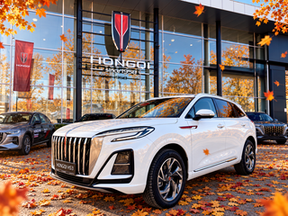 2025 Hongqi HS3, белый, 3269000 рублей, вид 1