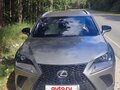 2019 Lexus NX 300 I Рестайлинг, серый, 3200000 рублей