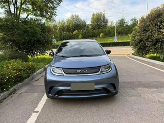 2024 BYD Dolphin 44.9 kWh I, голубой, 1450000 рублей, вид 2