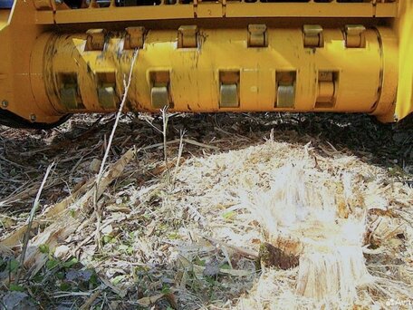 2019 UM-Forest ET-240, 600000 рублей, вид 2
