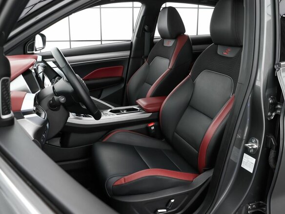 2023 Geely Coolray I, серый - вид 10