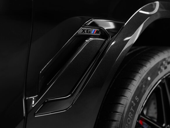 2026 BMW X6 M Competition III (F96) Рестайлинг, чёрный, 31169000 рублей - вид 15