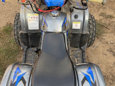 2023 Irbis ATV 125U, синий, 85000 рублей, вид 3