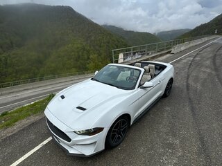 2018 Ford Mustang VI Рестайлинг, белый, 3300000 рублей, вид 1